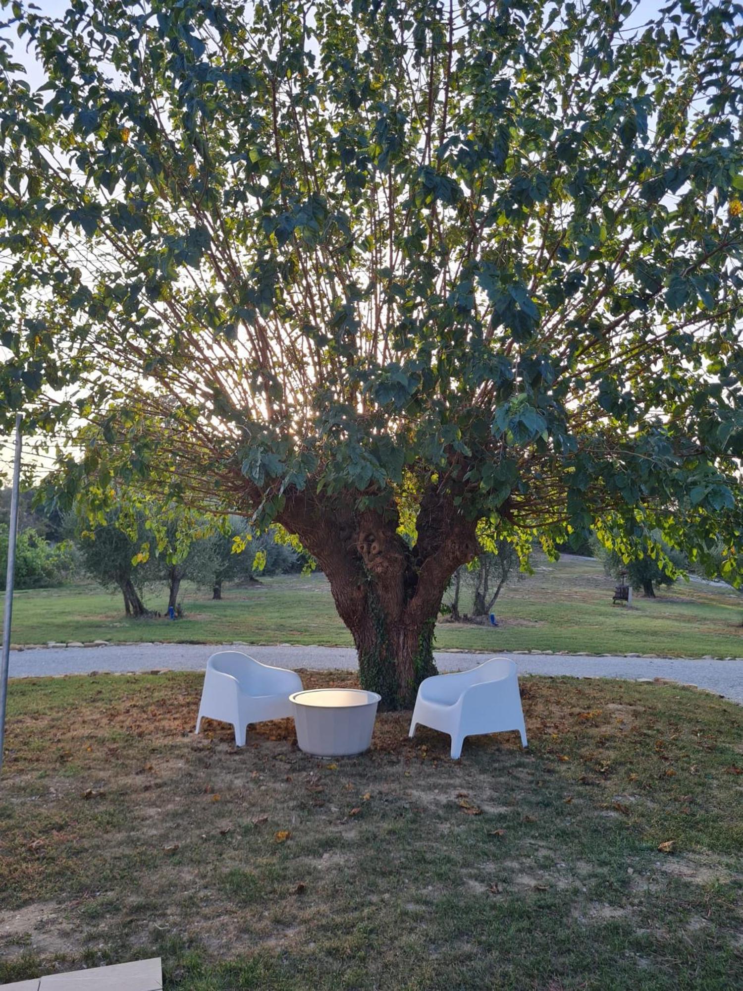 Orto Della Lepre Holiday home